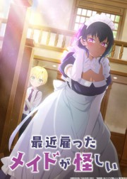 Assistir Saikin Yatotta Maid ga Ayashii